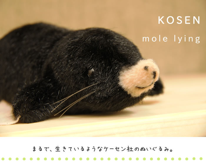 KOSEN(P[Z)ʂ/Oij