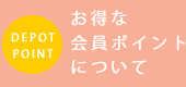 レビューを書いて100ポイントゲット