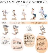STOKKE/gbv gbv@`FA/tripp trapp K̔X/o^VNԕۏؑ