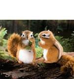 �P�[�Z���ЁE�ʂ������